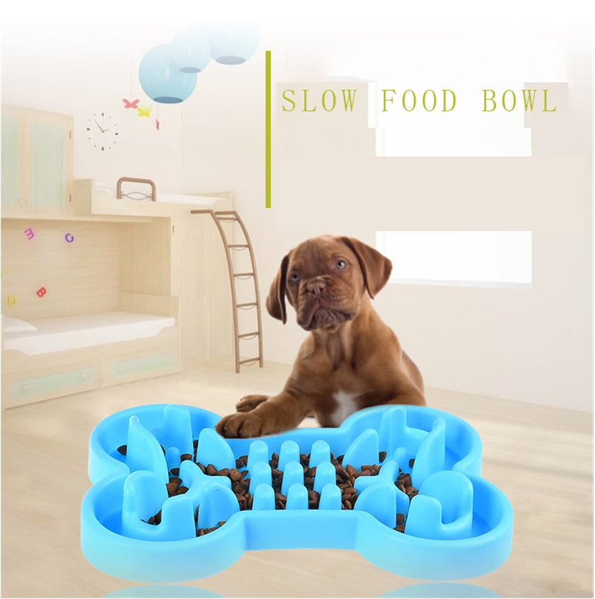 Dog Feeder Bowl – Travel Safe, Eat Slow