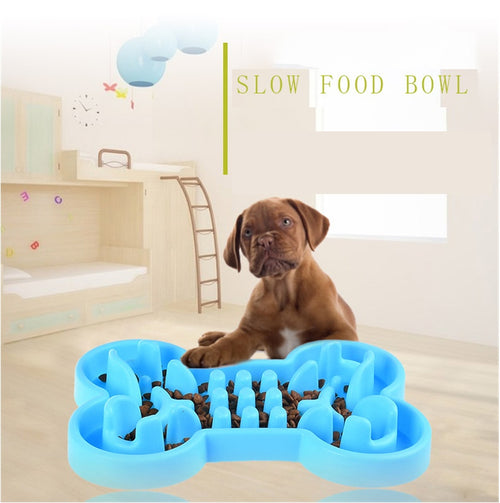 Dog Feeder Bowl – Travel Safe, Eat Slow