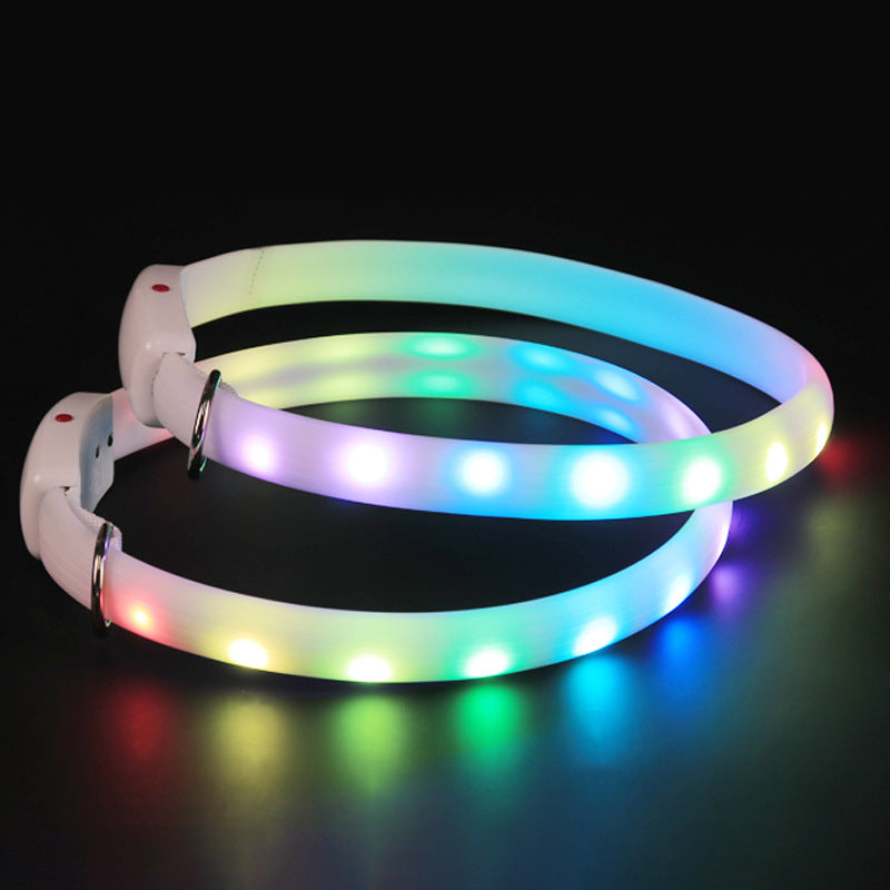 ShineBright LED Dog Collar for Outdoor Adventures