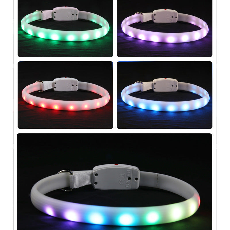 ShineBright LED Dog Collar for Outdoor Adventures