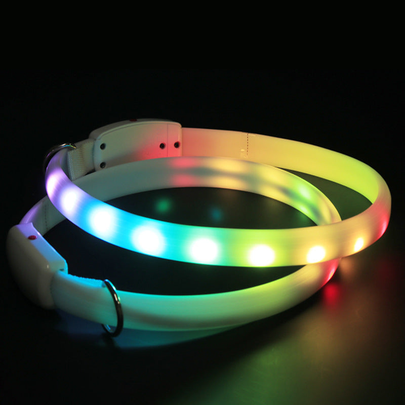 ShineBright LED Dog Collar for Outdoor Adventures