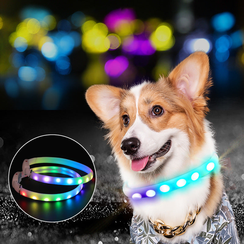 ShineBright LED Dog Collar for Outdoor Adventures